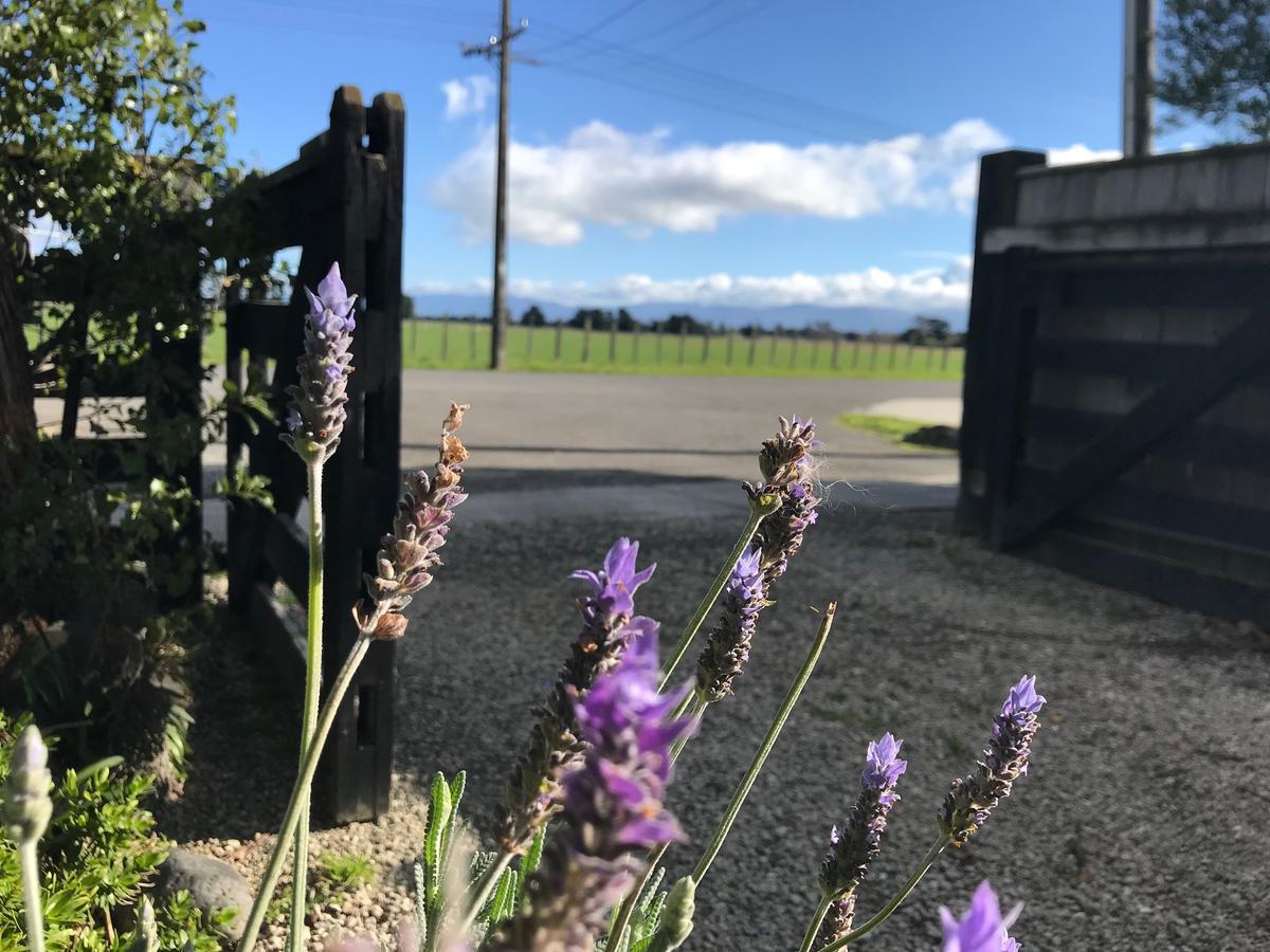 Lavender53 Villa Martinborough Buitenkant foto